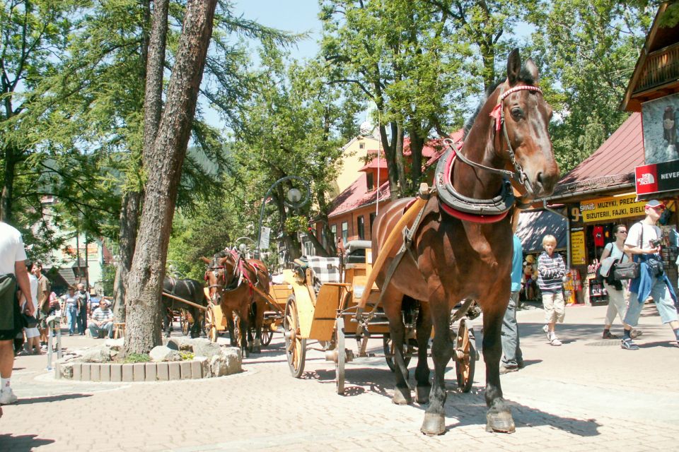 From Krakow: Zakopane & Tatra Mountains Tour - Inclusions