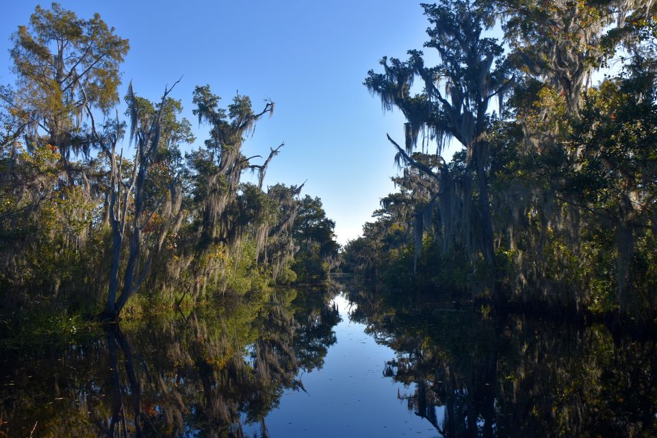 From Lafitte: Swamp Tours South of New Orleans by Airboat - Additional Information