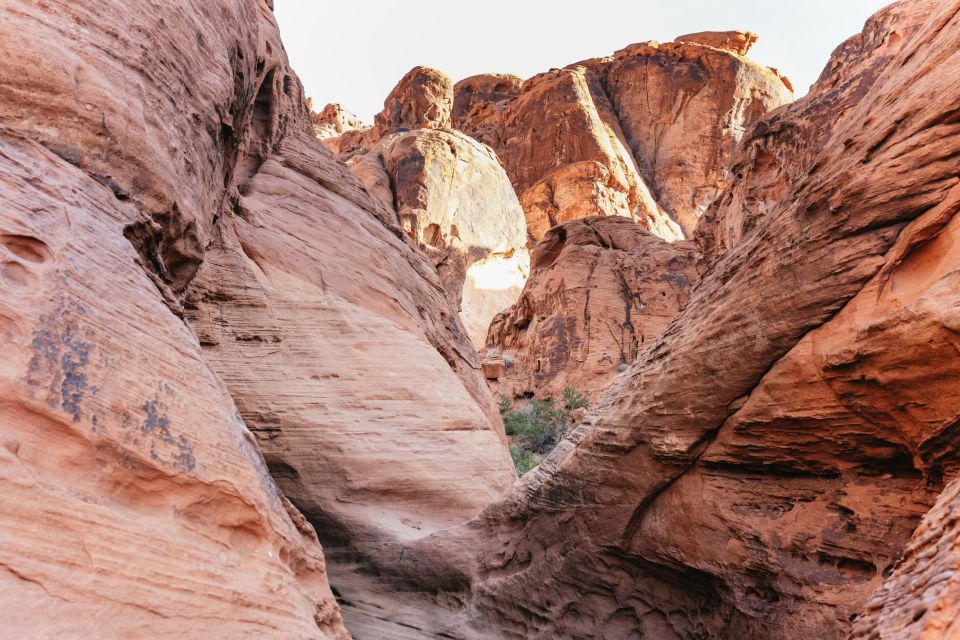 From Las Vegas: Explore the Valley of Fire on a Guided Hike - Booking Information