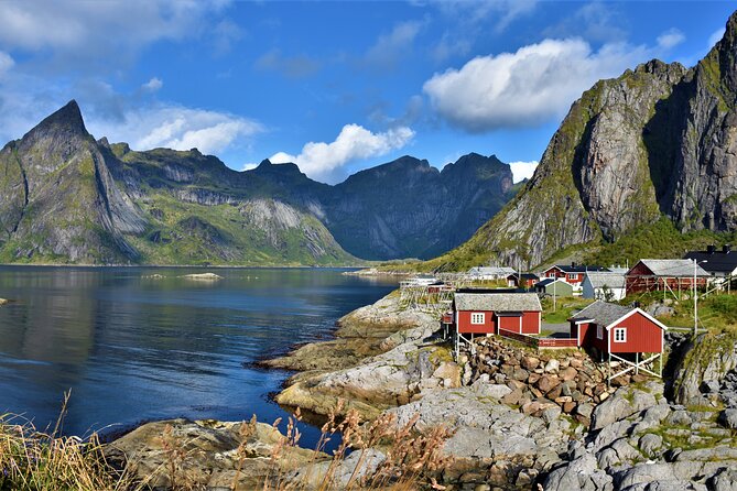 From Leknes Port: Special Summer Guided Tour of Lofoten - Guides Expertise and Logistics Insights