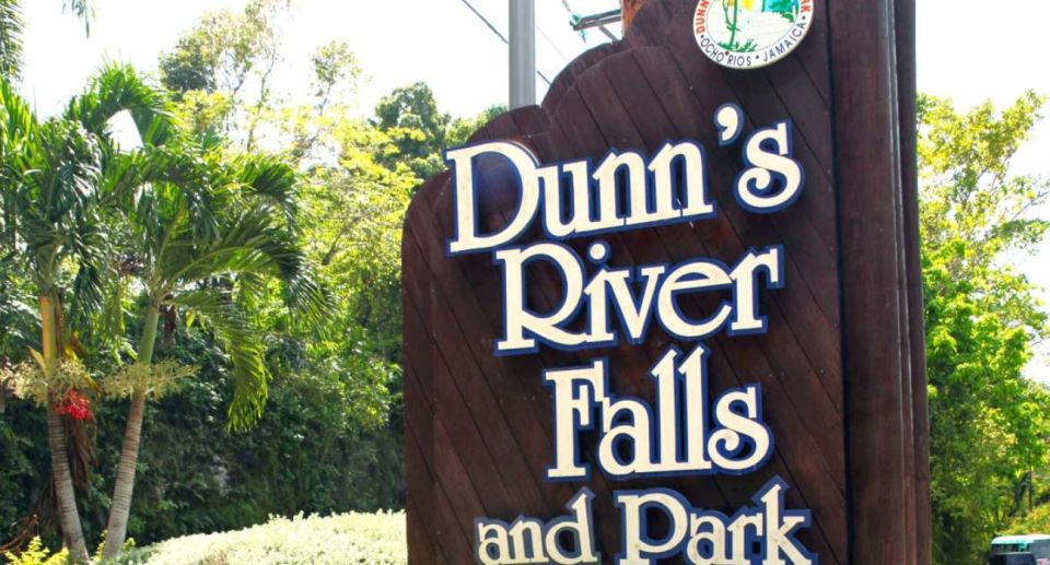 From Lucea/Montego Bay: Blue Hole & Dunn's River Falls Tour - Customer Reviews