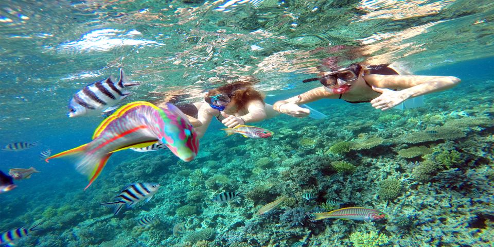 From Makadi Bay: Diving & Snorkeling Boat Tour With Lunch - Customer Reviews