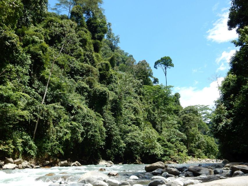 From Medan: 4 Day Tour to Bukit Lawang Incl. Jungle Trek - Booking Information
