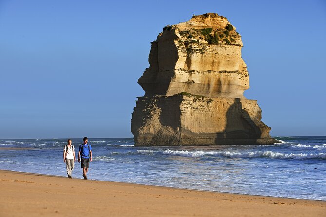 From Melbourne: Great Ocean Road 1-Day Tour - Experience Highlights