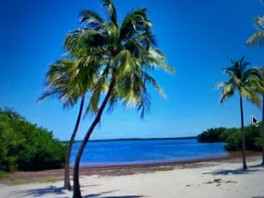From Miami: Day Trip to Key Largo With Optional Activities - Return Trip Information