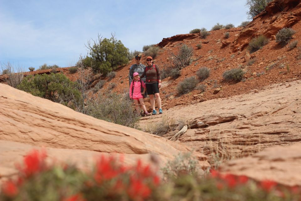 From Moab: 1-Day Horseshoe Canyon Exploration - Experience Description