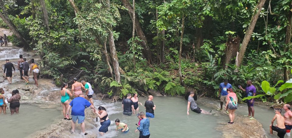 From Montego Bay: Dunn's River Falls Experience - Additional Tour Options Available