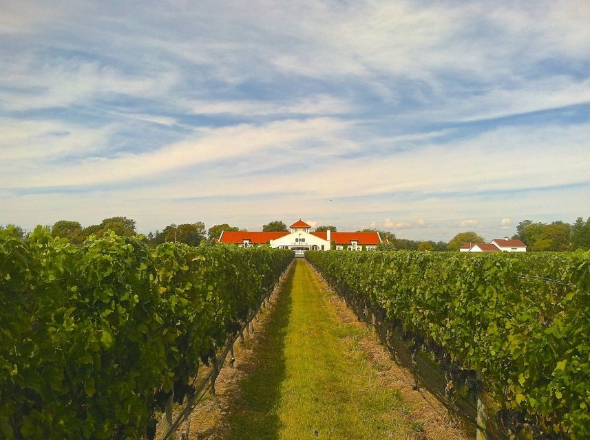 From NYC: Long Island Wine Tour (3 Wineries & Tasty Lunch) - Winery Visits and Tastings