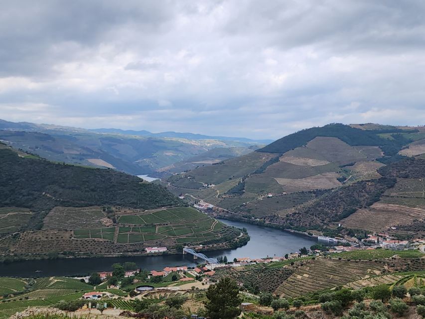 From Peso Da Régua: Visit 3 Wineries, Tasting and Viewpoint - Last Words