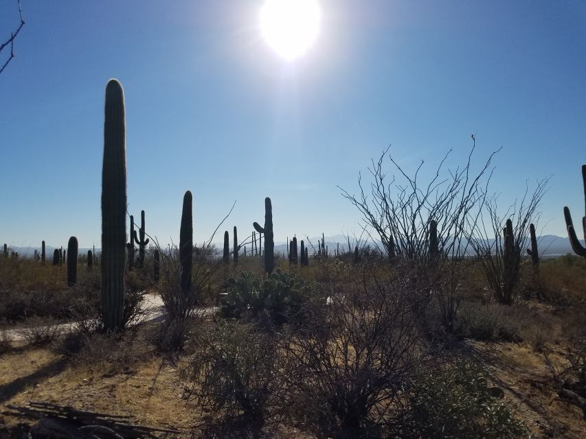 From Phoenix: Tombstone and Bisbee Day Tour - Last Words