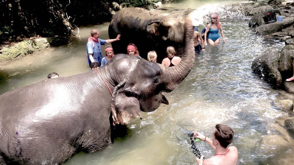 From Phuket: Elephant Care Experience With Rafting & Zipline - Additional Information