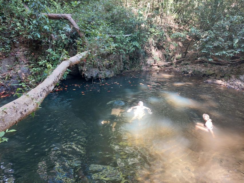 From Phuket: Guided Rainforest Hike With Lunch - Tips for the Rainforest Hike