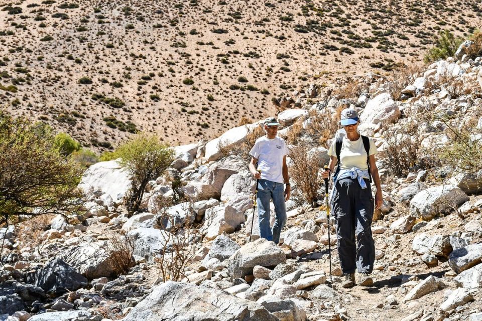 From Pisco Elqui: Cochiguaz River Valley Nature Hike - Overall Experience