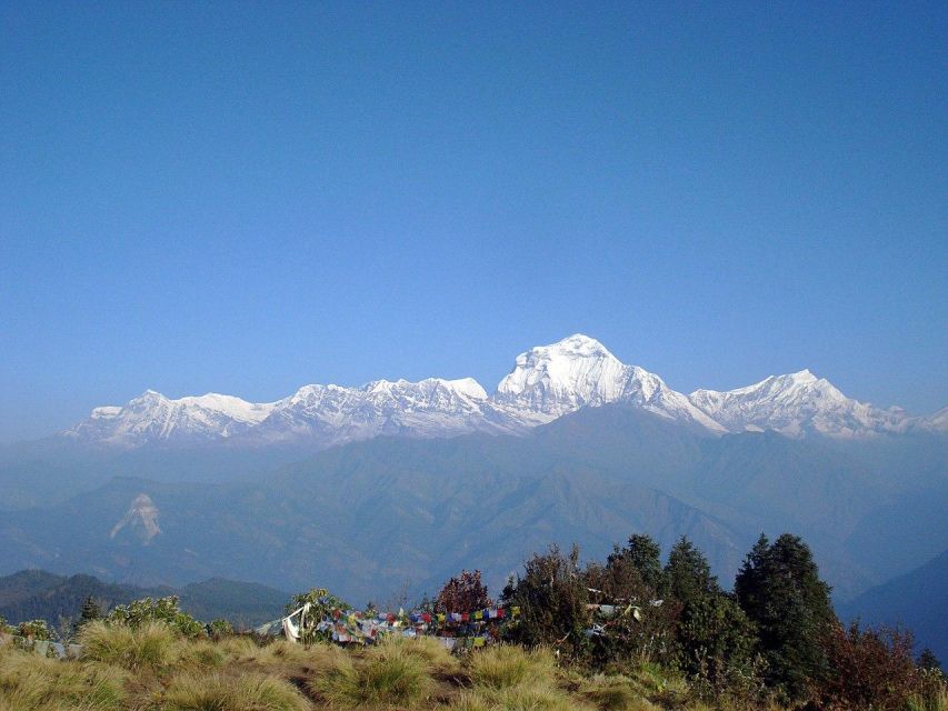 From Pokhara 10-Day Poon Hill and Annapurna Base Camp Trek - Booking Information