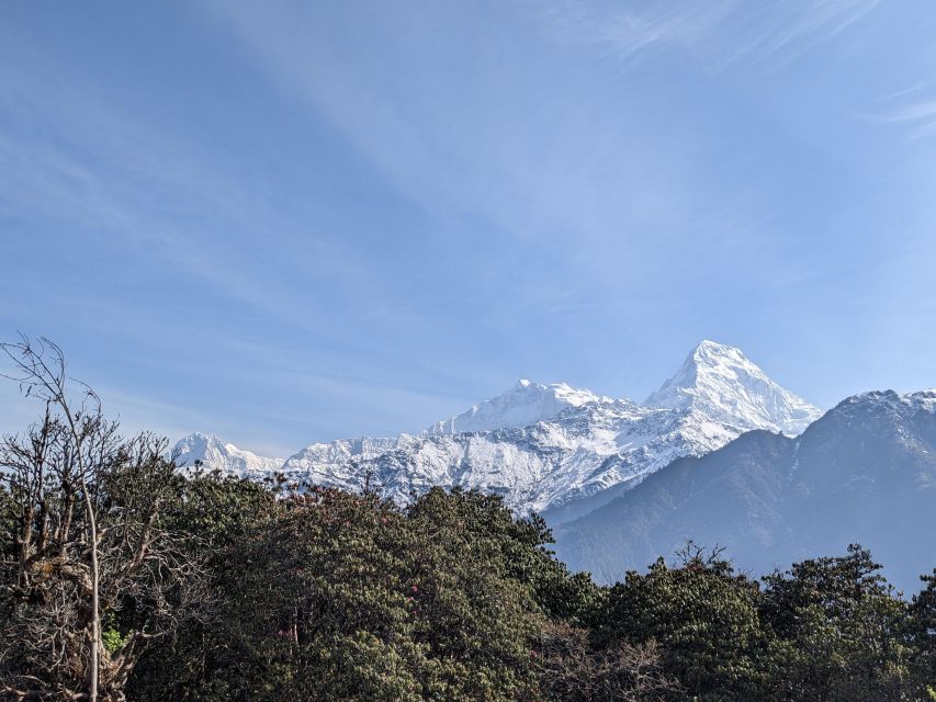 From Pokhara: 3 Days Poon Hill Trek - Last Words