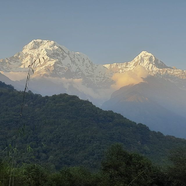 From Pokhara: 7-Day Annapurna Base Camp Trek - Common questions