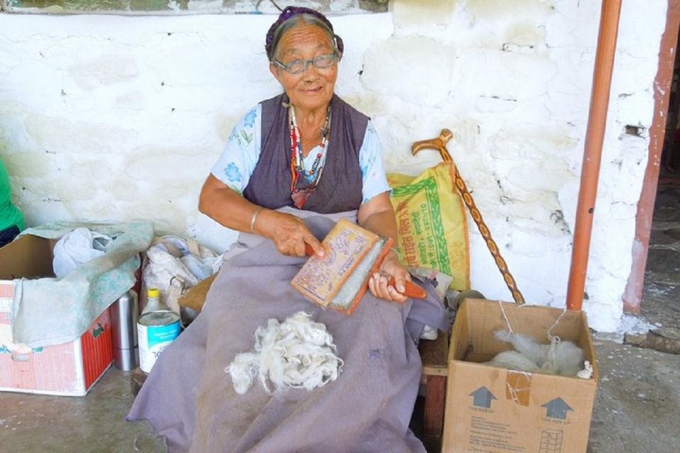 From Pokhara: Discovering Buddhist Heritage on Pagoda Hill - Transportation and Logistics