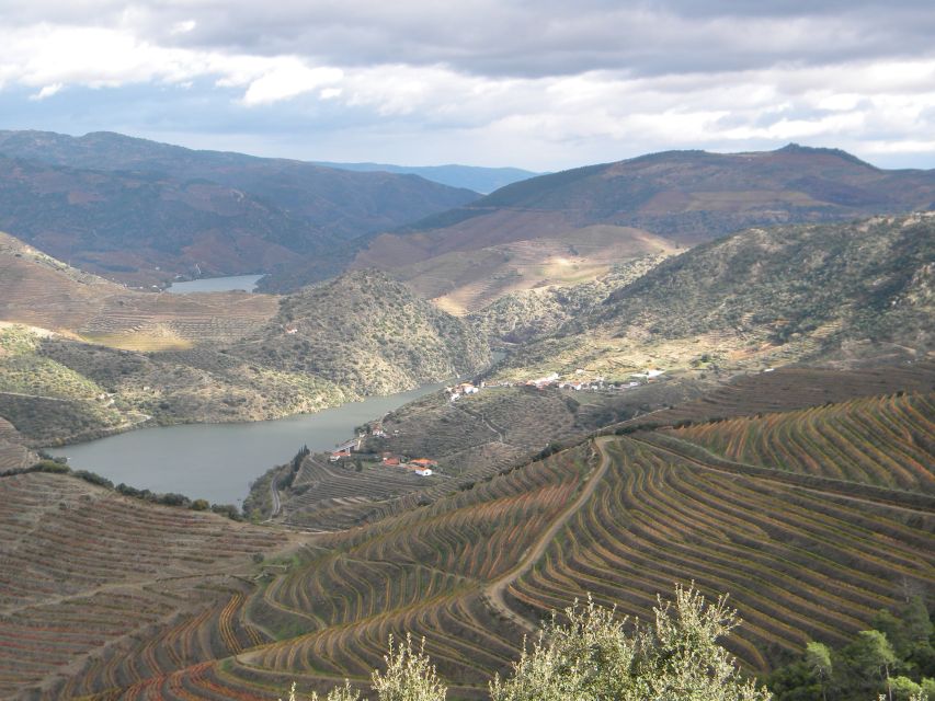 From Porto: Private Douro Valley Tour With Booking Service - Guide and Transportation