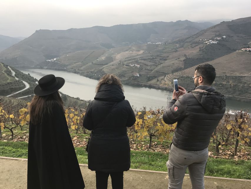 From Porto: Private Douro Valley Tour With Cruise and Wine - Booking Information and Availability