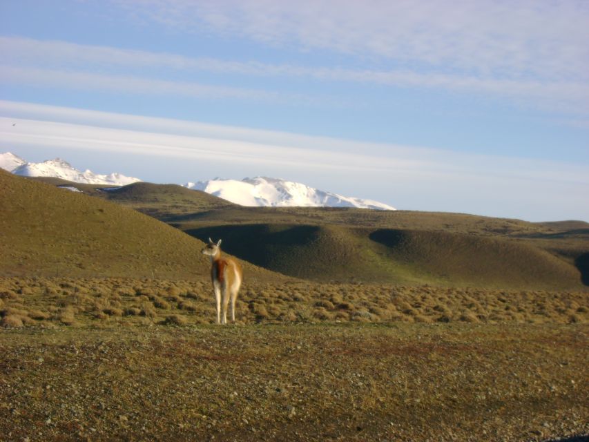 From Puerto Natales: Torres Del Paine National Park Trip - Pickup Service Inclusion