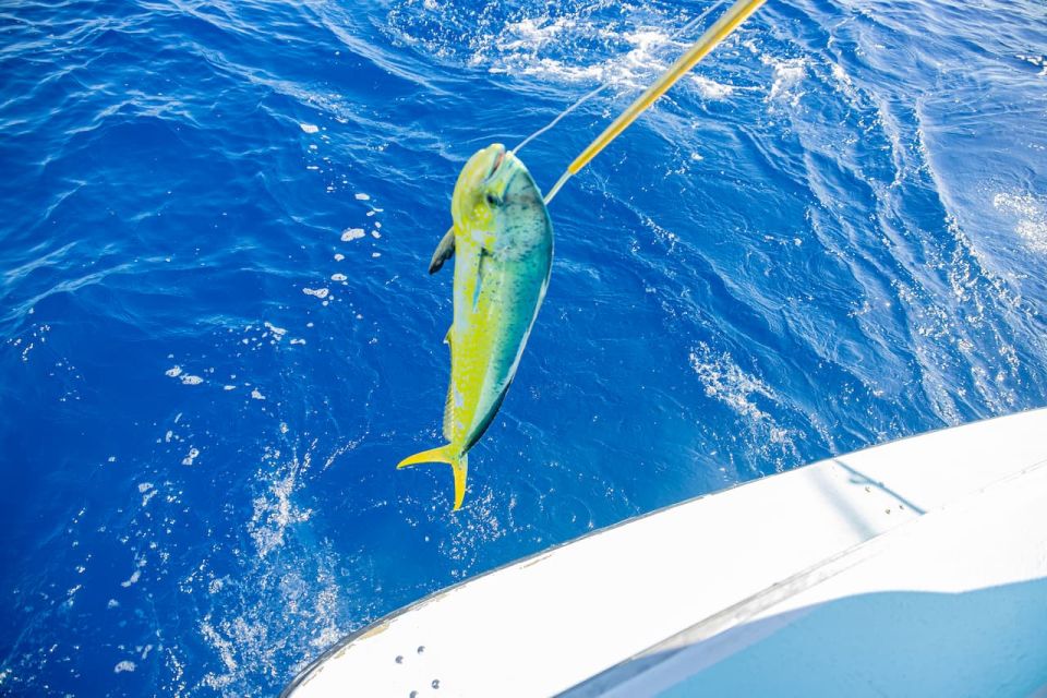 From Punta Cana: Deep Sea Fishing Tour by Boat With Drinks - Tips for a Successful Trip