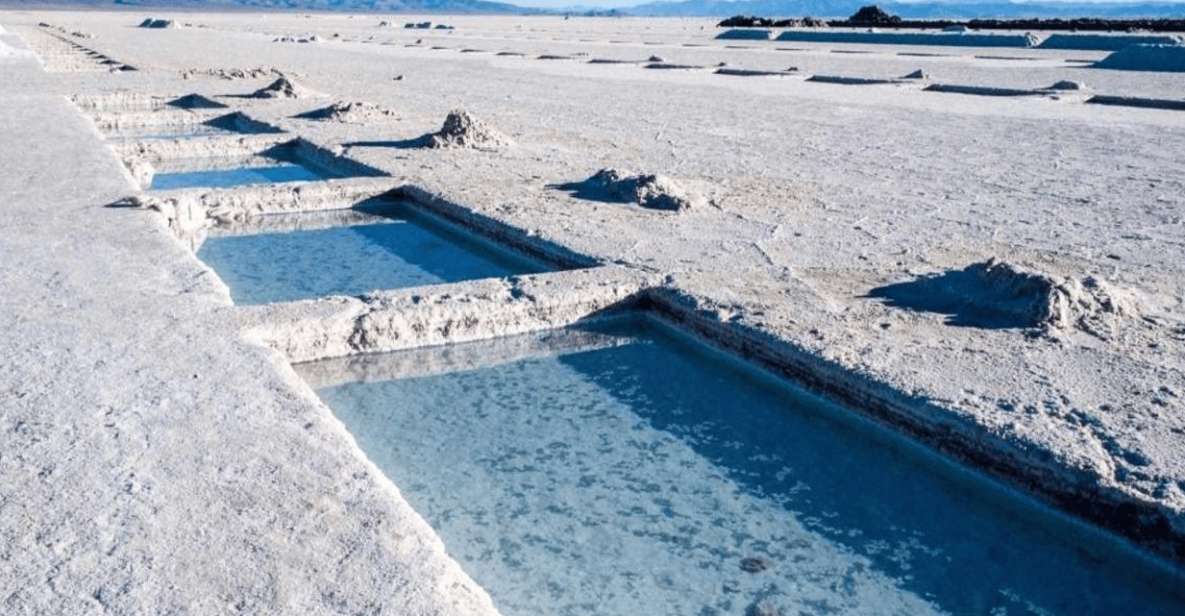 From Salta: Full-Day Tours of Cafayate and Salinas Grandes - General Information