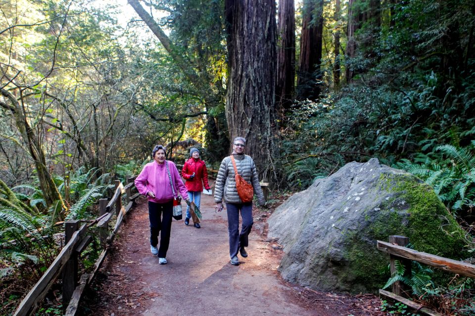 From San Francisco: Muir Woods Wine Tour With Napa & Sonoma - Customer Feedback