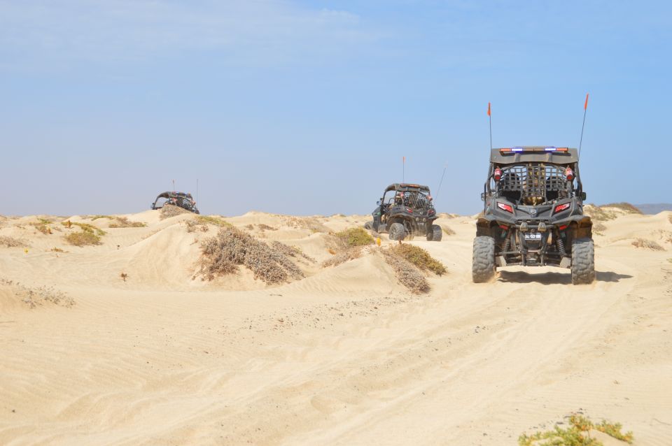 From Santa Maria: Two-Hour 4WD Buggy Desert Adventure - Last Words