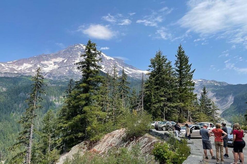 From Seattle: Full-Day Mt Rainier National Park Private Tour - Seattle to Mt. Rainier Tour
