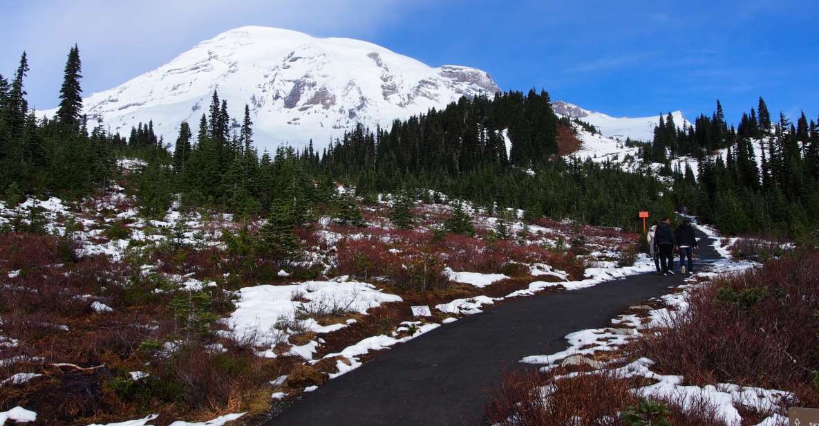 From Seattle: Mount Rainier Full-Day Tour - Meeting Point & Logistics