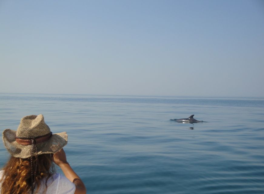 From Sesimbra: Arrábida Dolphin Watching Boat Tour - Customer Feedback and Ratings