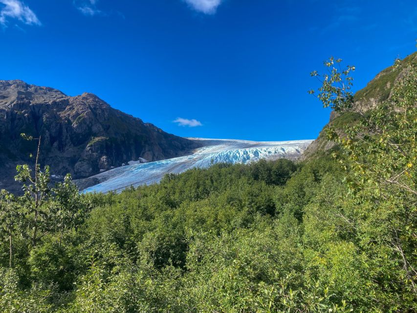 From Seward: Harding Icefield Trail Hiking Tour - Location and Booking