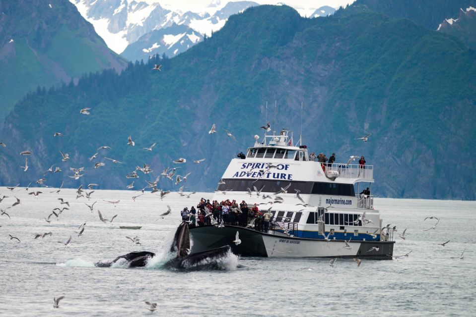 From Seward: Kenai Fjords National Park Cruise With Lunch - Review Summary
