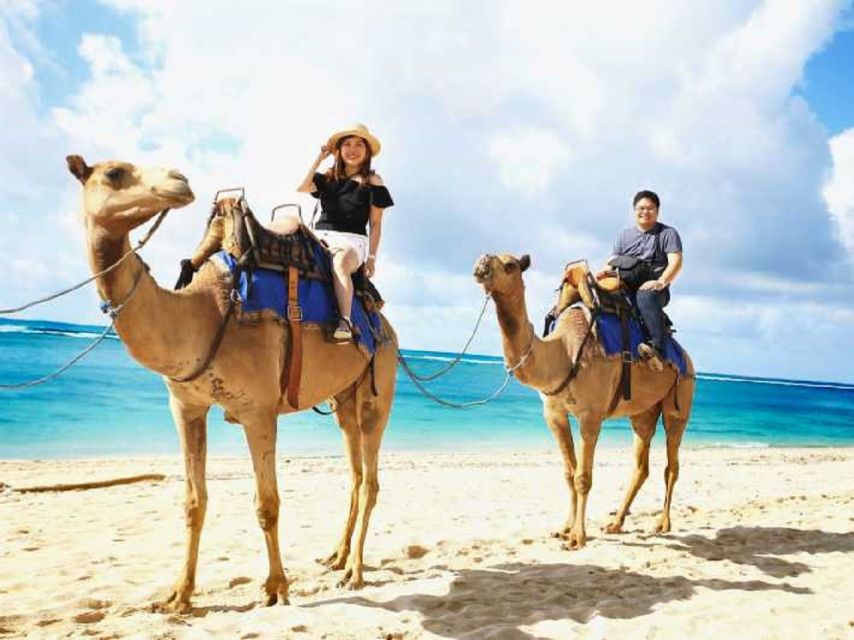 From Sharm: Red Canyon, Dahab, ATV, Camel & Snorkeling Tour - Tour Inclusions
