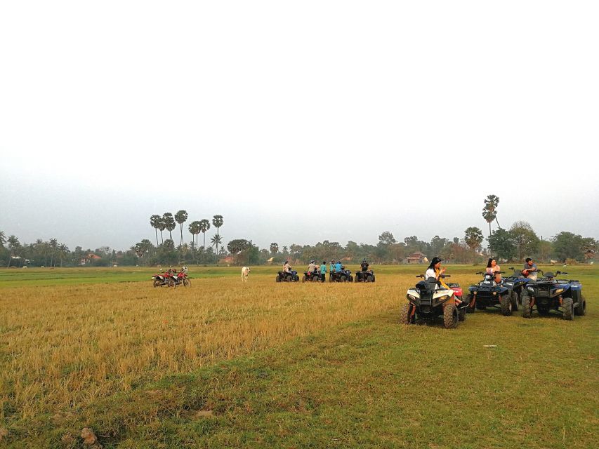 From Siem Reap: Sunset Quad Bike Tour in Countryside - Location and Booking