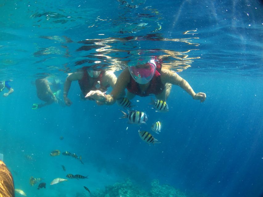 From Soma Bay and Makadi: Sharm El Naga Snorkeling Trip - Booking Information