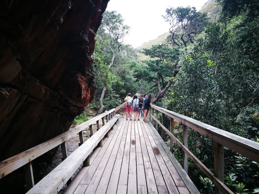 From Stellenbosch: Hermanus Whale Route Tour - Wildlife Sightings and Lunch