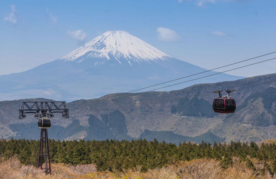 From Tokyo: Hakone and Owakudani Private Day Trip - Booking and Reservation Information