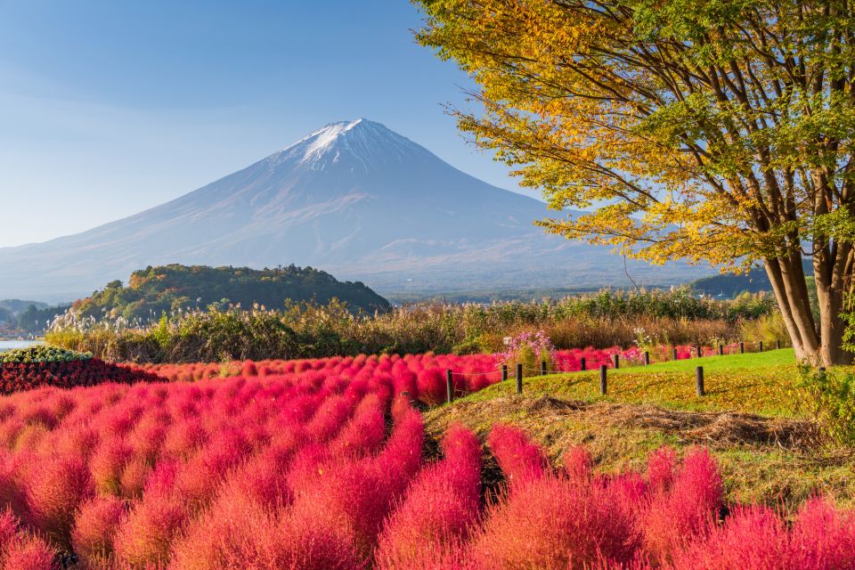 From Tokyo: Mount Fuji Highlights Private Day Tour - Common questions