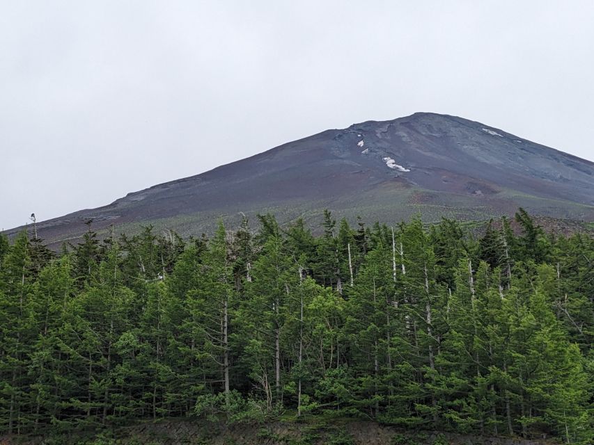 From Tokyo: Mt. Fuji & Hakone Tour W/ Return by Bullet Train - Booking Details