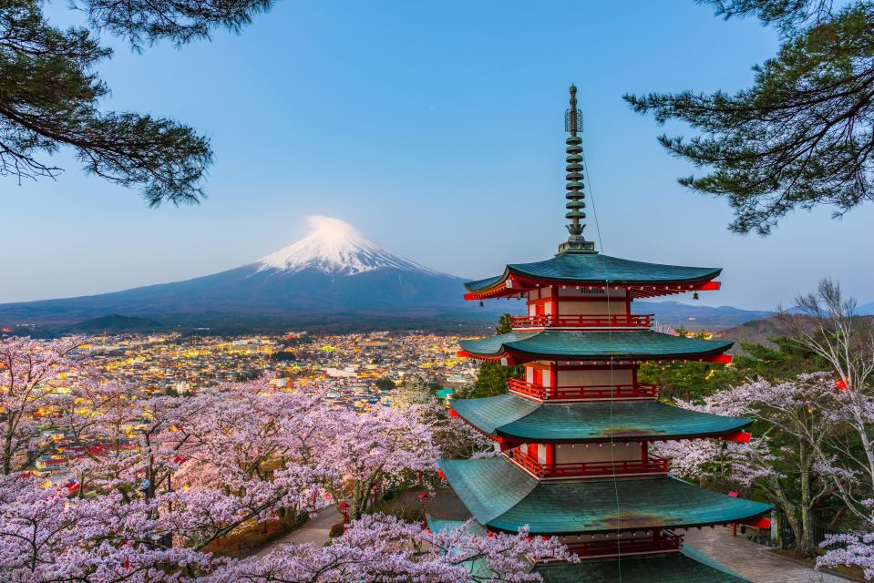 From Tokyo: Mt. Fuji or Hakone Private Sightseeing Day Trip - Booking Details