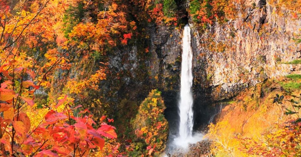 From Tokyo: Nikko UNESCO Shrine and Nature View 1-Day Tour - Cable Car to Observation Deck