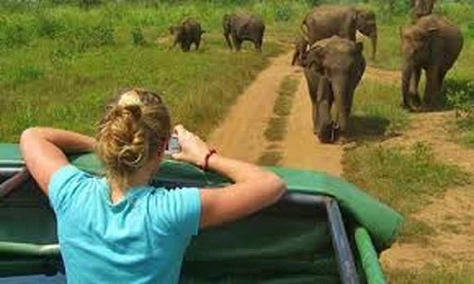 From Udawalawe :-National Park Thrilling Half-Day Safari - Udawalawe Town Location and Features