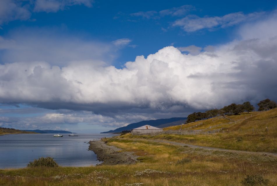 From Ushuaia: Penguin Watching Tour by Catamaran - Tour Inclusions