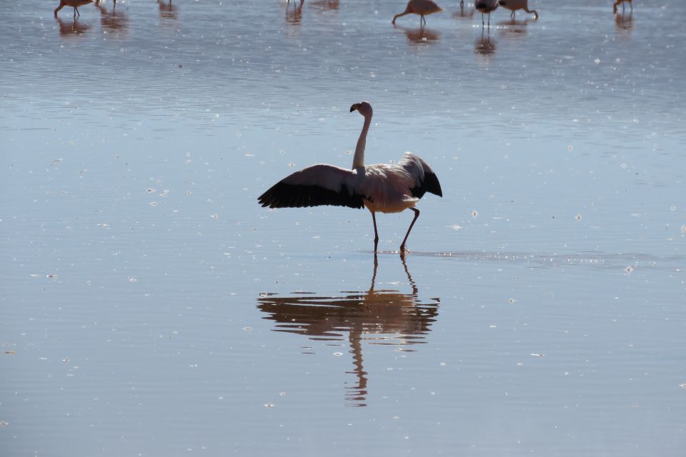 From Uyuni: Private Day Trip Laguna Colorada. - Location and Specifics