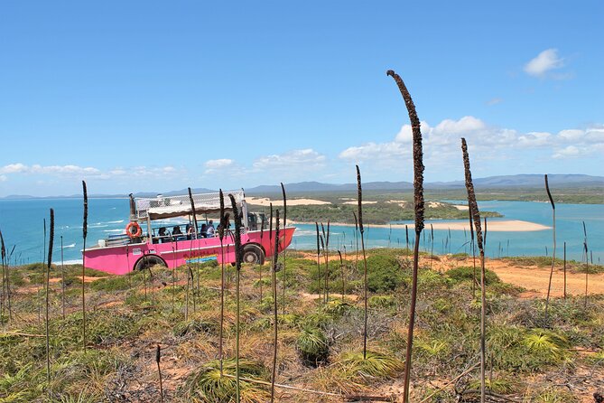 Full-Day 1770 Tour by LARC Amphibious Vehicle Including Sandboarding and Bustard Head Lightstation - Common questions