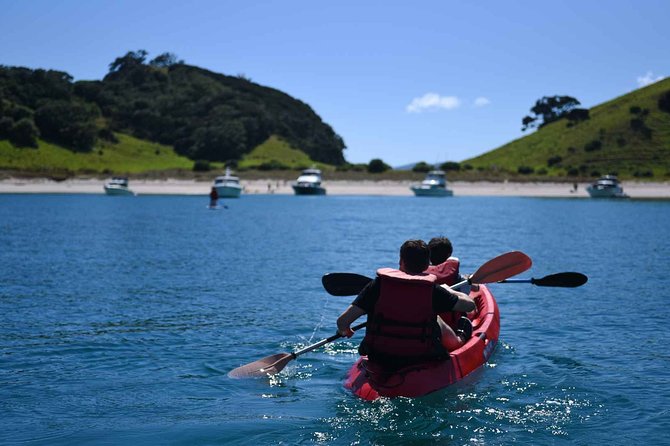 Full-Day Adventure Cruise With Lunch in Bay of Islands - Wildlife Viewing Opportunities