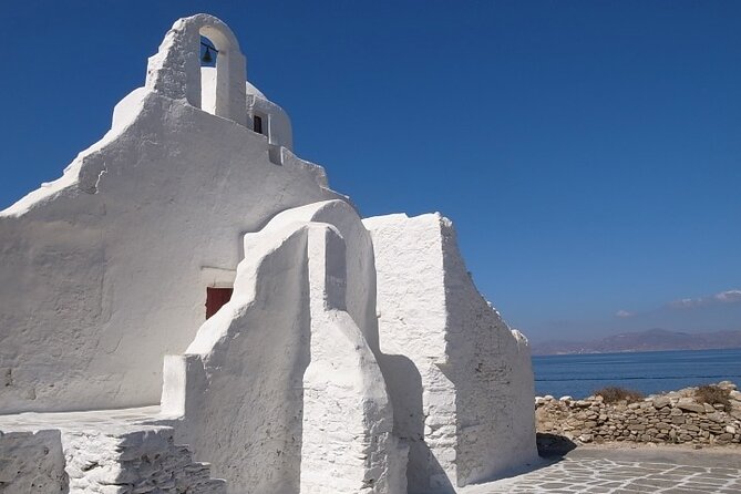 Full Day Cruise to Delos and Mykonos Islands From Paros - Reviews