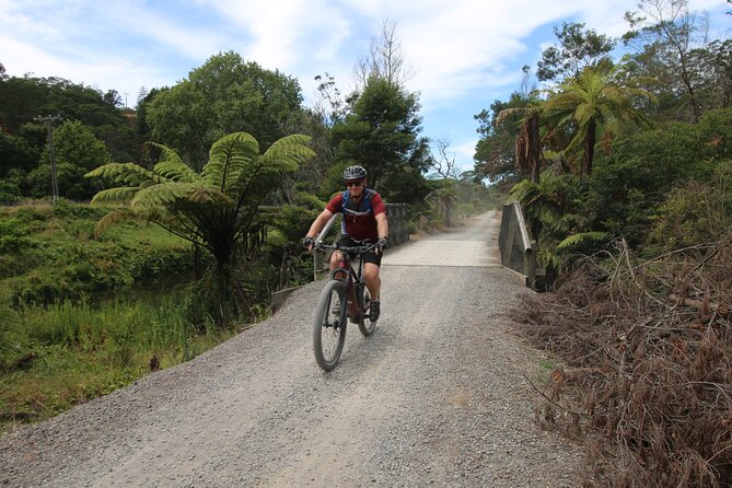 Full Day Ebike Tour in Karangahake Gorge (ex Auckland) - Return to Auckland