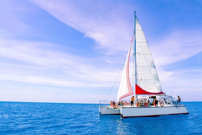 Full-Day Great Barrier Reef Sailing Trip - Customer Recommendations and Experience